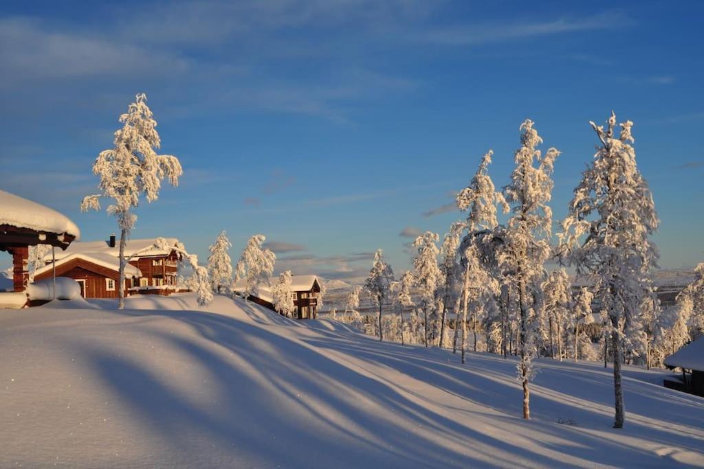 Flott Fritidsleilighet I Bualie Pa Golsfjellet Bagian luar foto