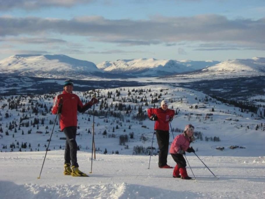 Flott Fritidsleilighet I Bualie Pa Golsfjellet Bagian luar foto