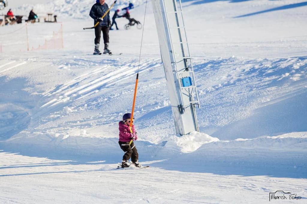 Flott Fritidsleilighet I Bualie Pa Golsfjellet Bagian luar foto